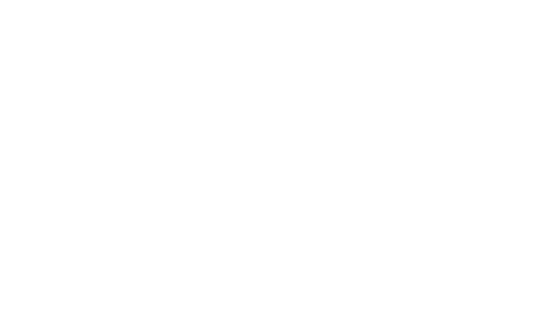 Acoustic Guerillas